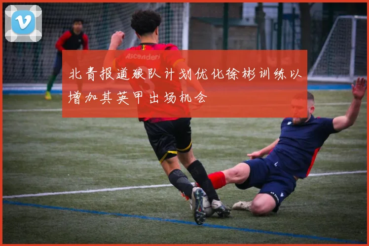 北青报道狼队计划优化徐彬训练以增加其英甲出场机会